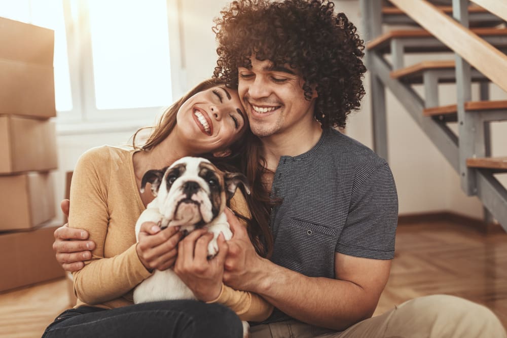 Young couple moving with pets